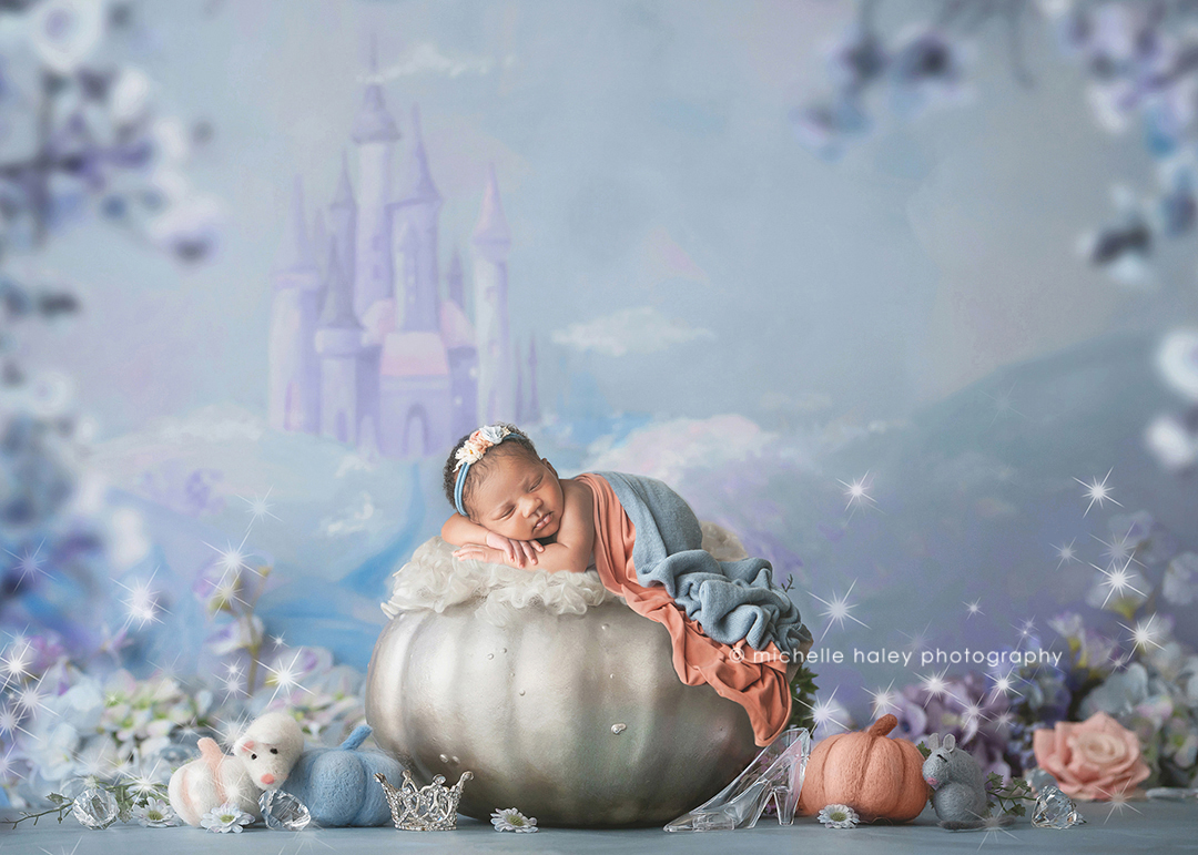 princess newborn photography shoot