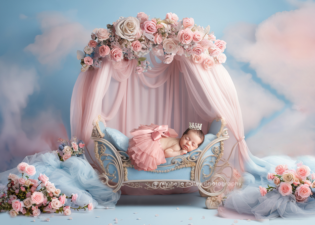 princess newborn